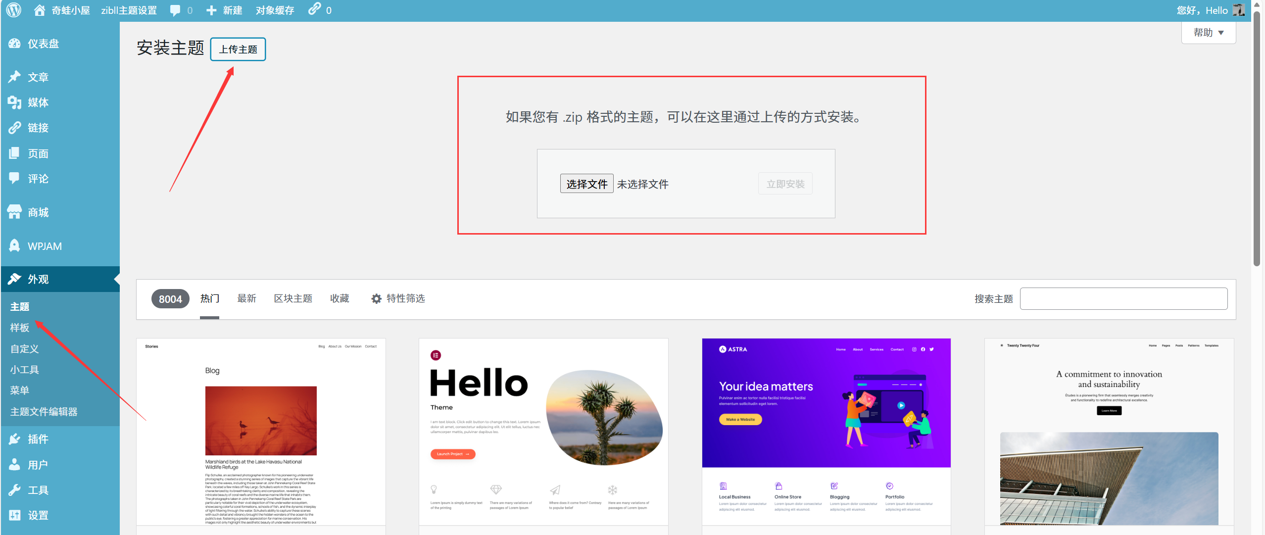 图片[1]-WordPress 主题安装与启用全攻略：新手站长必看！-奇蛙小屋
